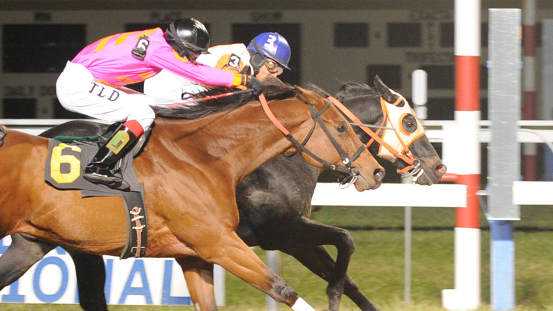 What are the latest Penn National racing results? Discover todays winners and payouts from the track.