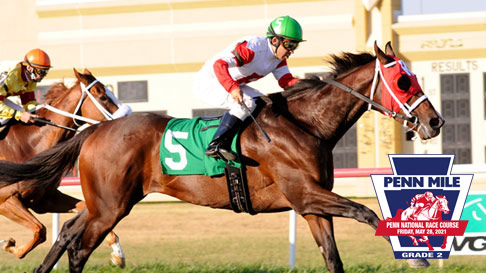horses racing with Penn Mile logo