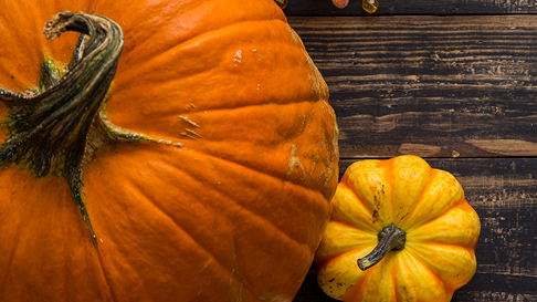 Spiele Pumpkin Patch - Video Slots Online Spiele Pumpkin Patch - Video Slots Online