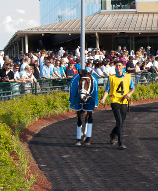 Stakes Races