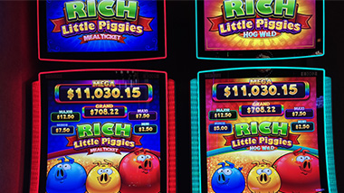 Rich Little Piggies