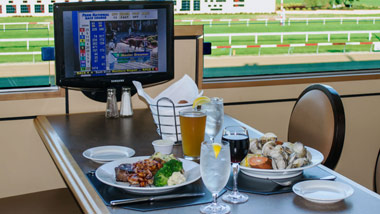 Www Hollywood Race Track Com Www Hollywood Race Track Com