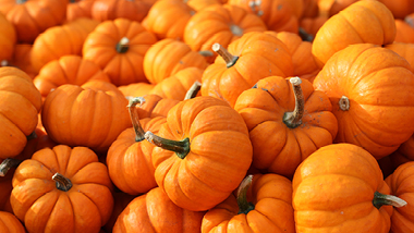 A pile of pumpkins.