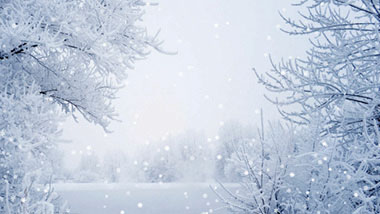 Snow-covered trees surround a snow-covered field.