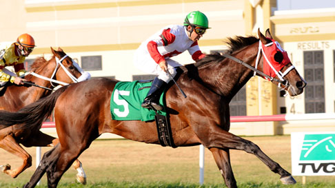 Hollywood Horse Racing Bets Hollywood Horse Racing Bets