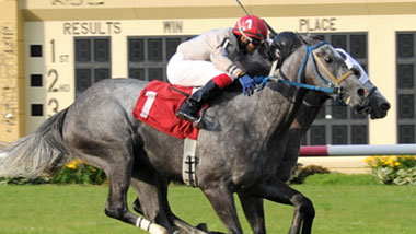 horse racing